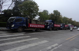 漁業(yè)增殖促生態(tài)，畜牧水產(chǎn)譜新篇——江西修水縣開展資源放流活動(dòng)助力產(chǎn)業(yè)發(fā)展