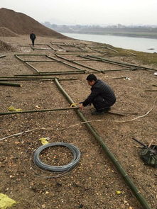 中國漁業(yè)政務(wù)網(wǎng) 畜牧漁業(yè)飼料銷售與管理的數(shù)字化平臺(tái)